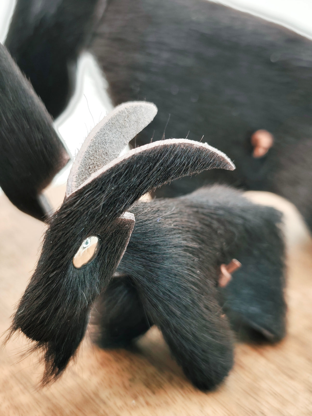 Gros plan sur une petite chèvre décorative à pelage noir, montrant les poils et les détails d’assemblage